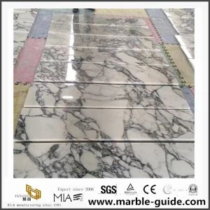 Arabescato Venato/ Castro White Marble China Hot Sale Building Material Slabs