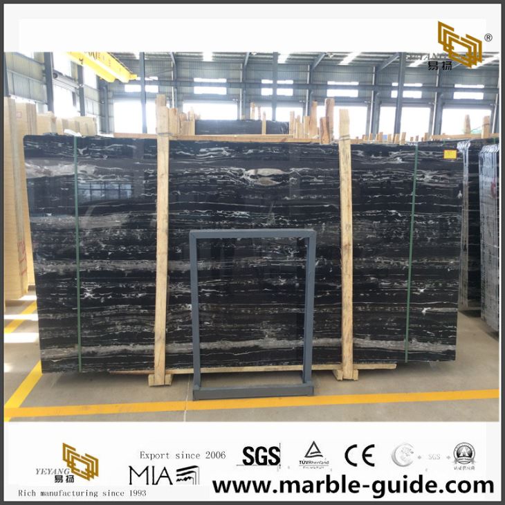 Black China Silver Dragon Marble Slab for Project