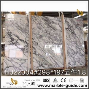 Arabescato White Marble Big Slab สำหรับขาย